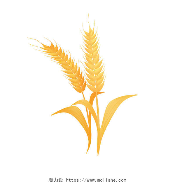 金色麦穗麦子成熟麦穗秋天秋收PNG素材元素
